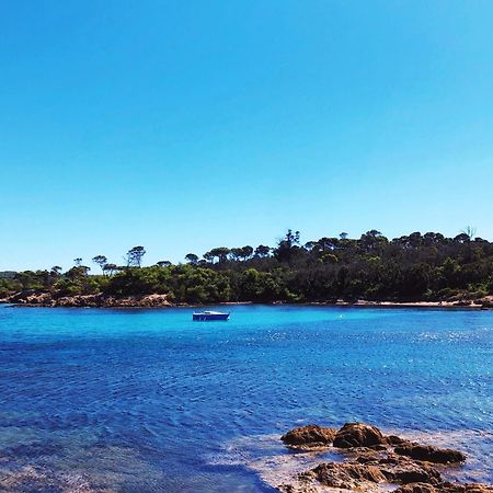 T2 Avec Terrasse & Parking A 5 Min Du Centre, 10 Min Des Plages Йер Экстерьер фото