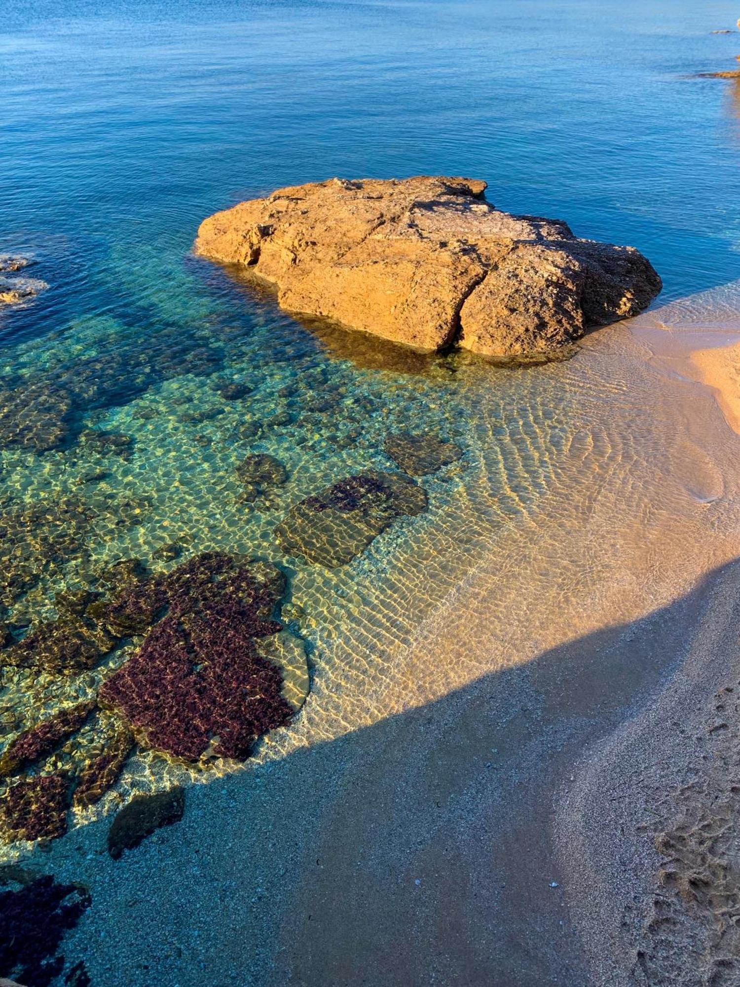 T2 Avec Terrasse & Parking A 5 Min Du Centre, 10 Min Des Plages Йер Экстерьер фото